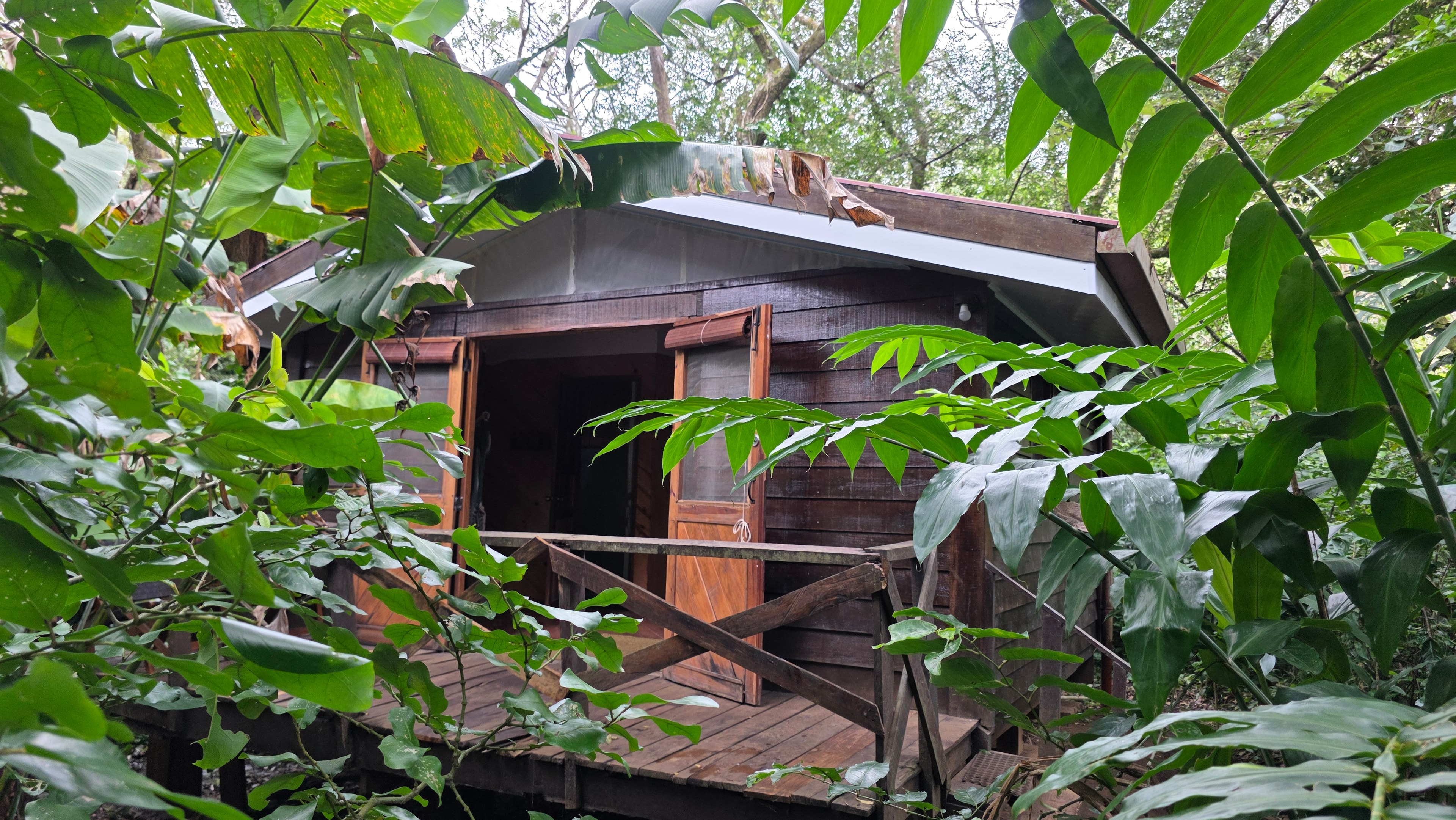Cabin 1