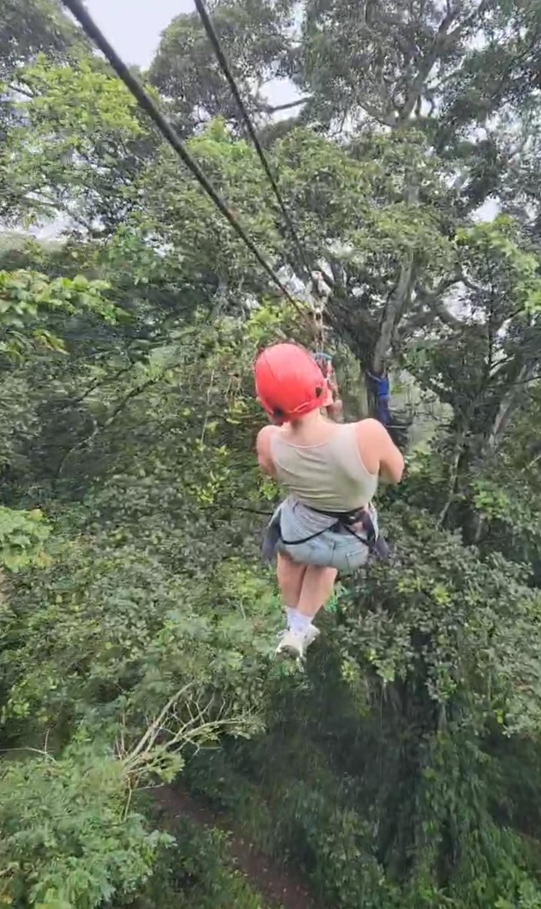 Zip-line Canopy Tour